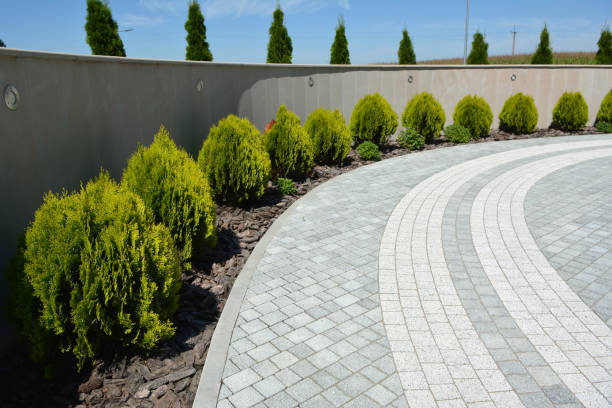 Best Professional Driveway Pavers  in Combee Settlement, FL